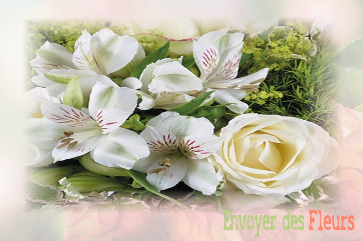 envoyer des fleurs à à MAILLERONCOURT-SAINT-PANCRAS